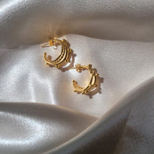 Load image into Gallery viewer, She Fancy Earrings